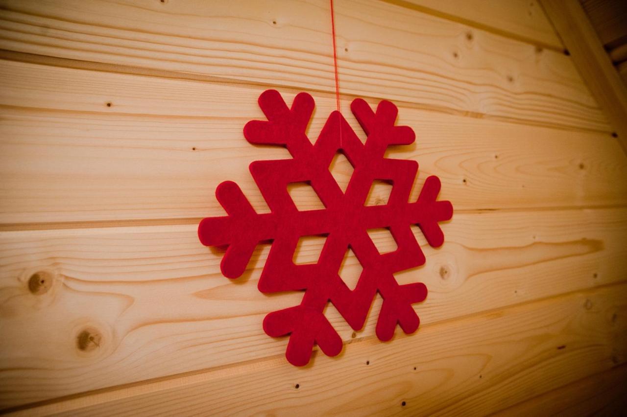 Chalet Narciarskie