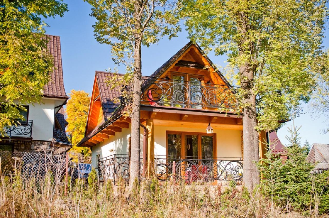Narciarskie Zakopane